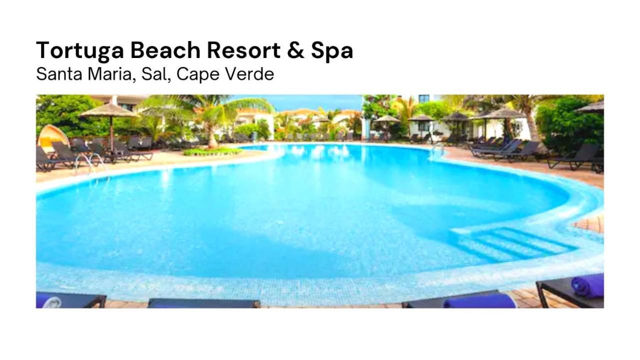 Tortuga Beach Village Private Apartments And Villas For Rent 산타 마리아 외부 사진